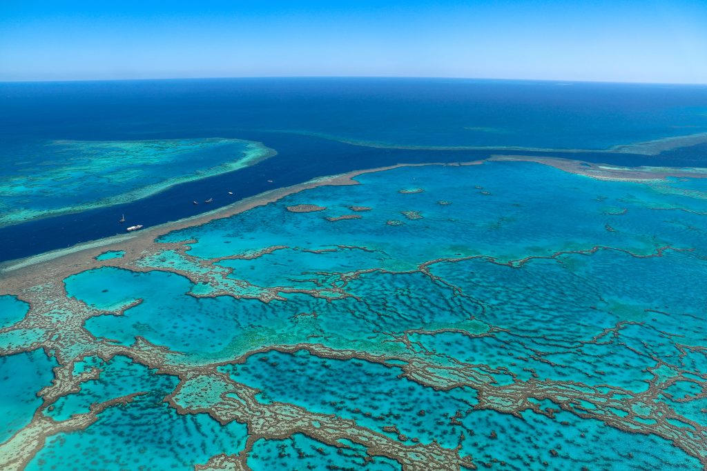 La grande Barriera Corallina