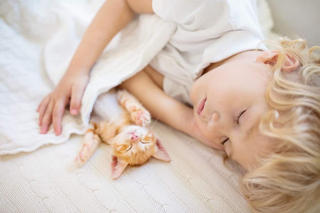 Neonato che dorme con il gattino.  Bambino e gatto.