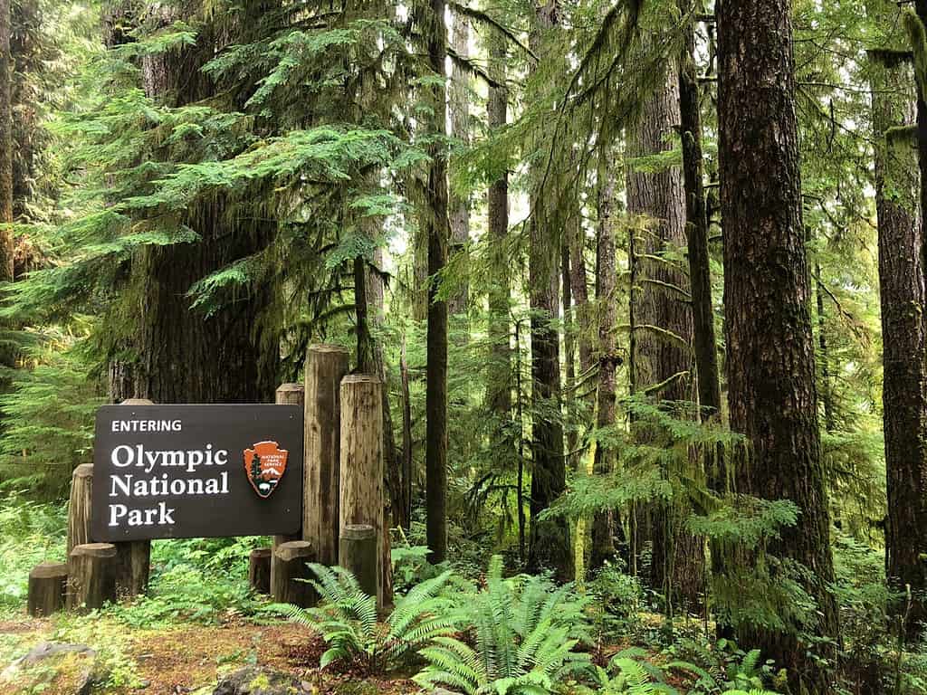 Segno del Parco Nazionale Olimpico a Washington