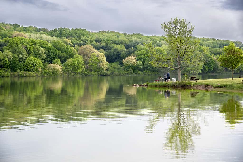 Picnic vicino al lago Arthur.