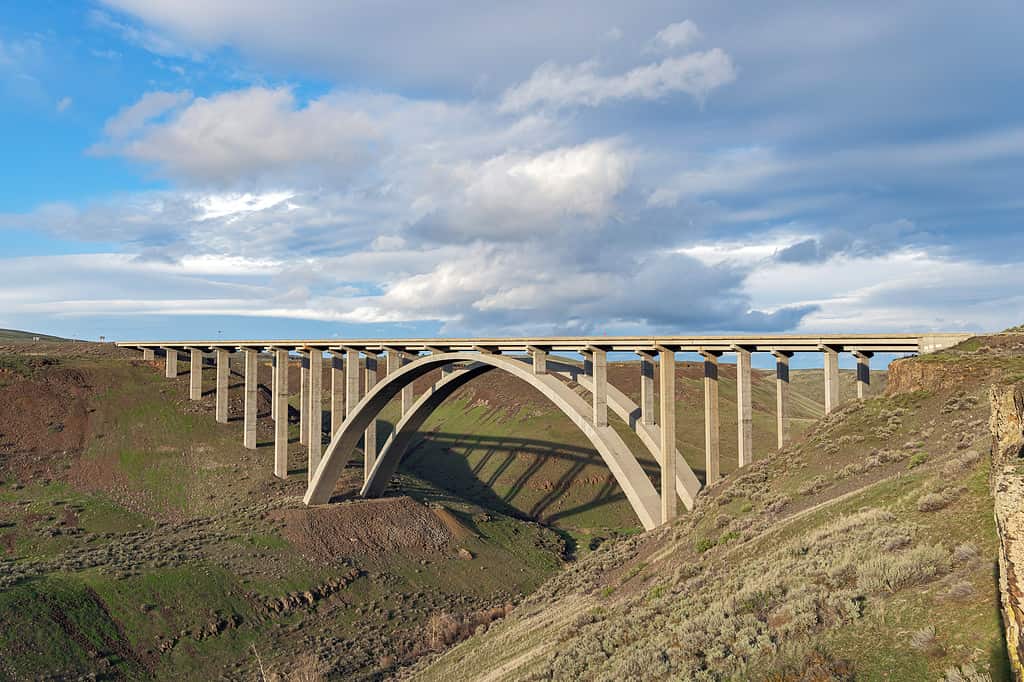 Ponte di Fred G. Redmon