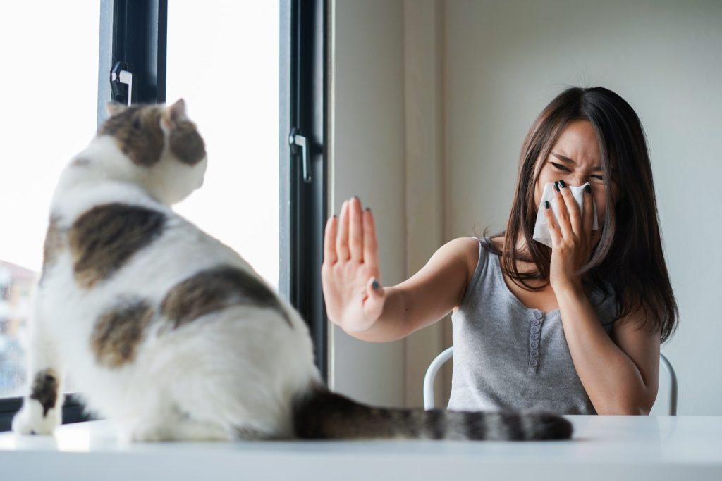 Concetto di allergia, pelliccia e donna allergica all'animale domestico coprirsi il naso con carta velina ed evitare di chiudere l'animale domestico.