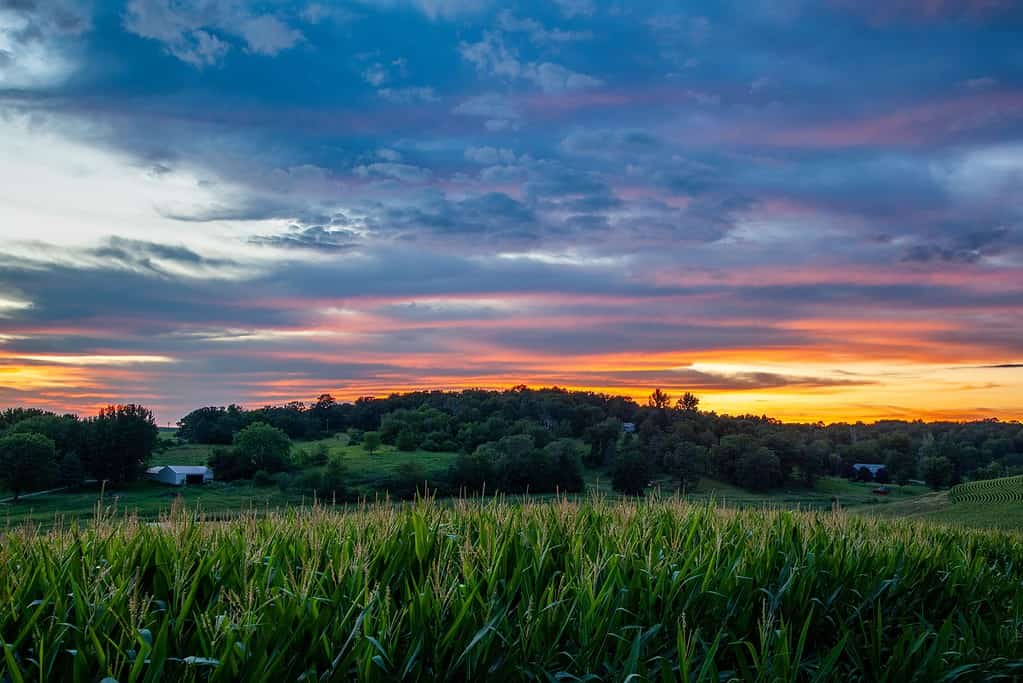 Bel tramonto in un campo in Iowa
