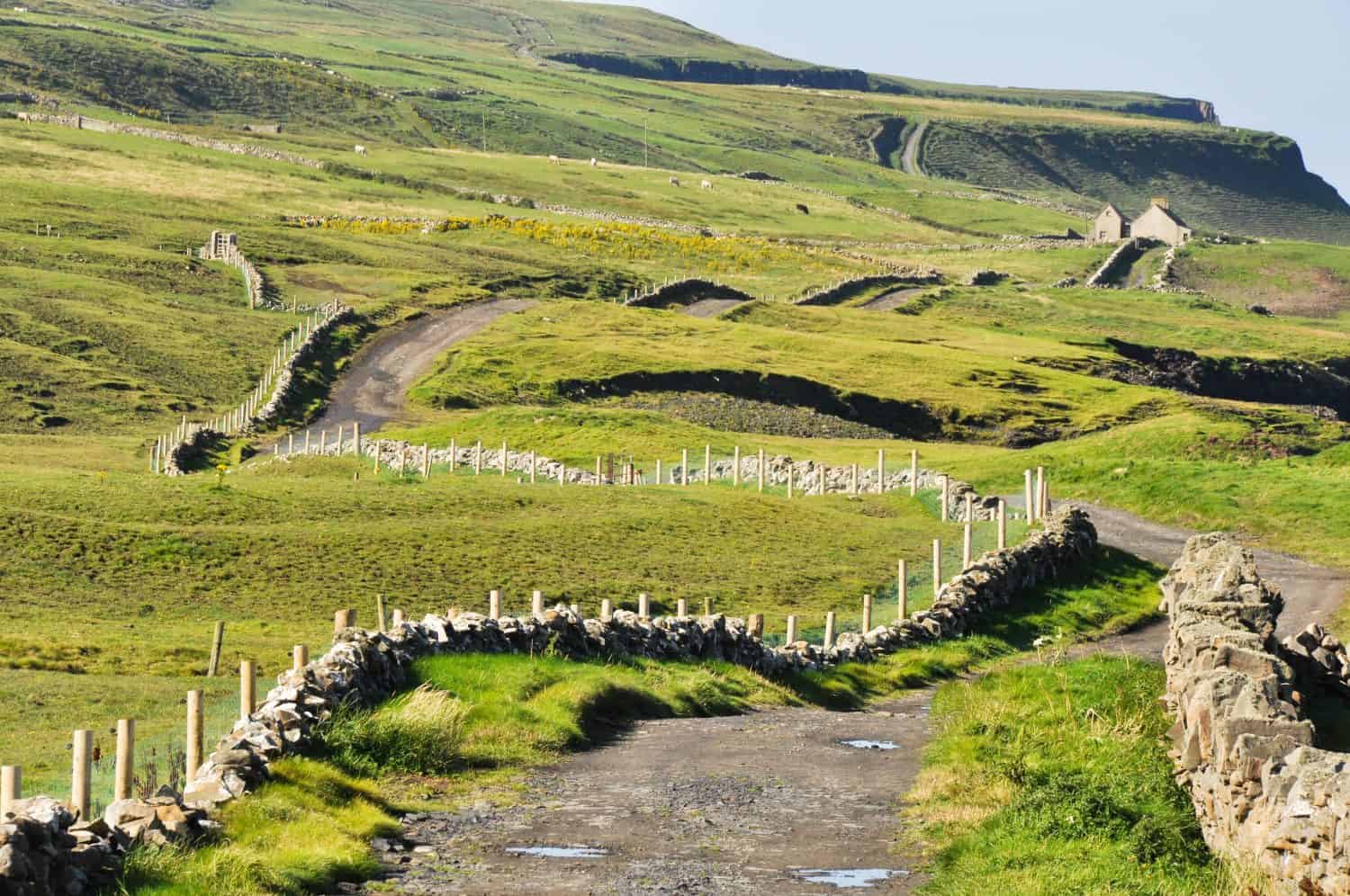 Paesaggio irlandese, Co. Clare