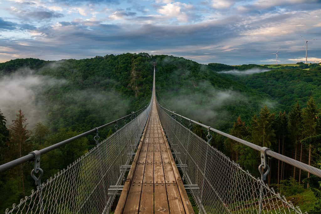 Veduta di un ponte sospeso in Germania, Geierlay.