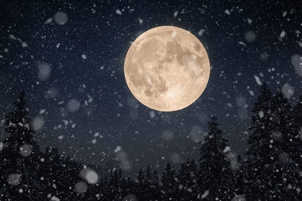 Incredibile bellissima grande luna nel cielo notturno con stelle e foresta invernale con neve.  Vacanze invernali e paesaggio notturno.  Nevicate