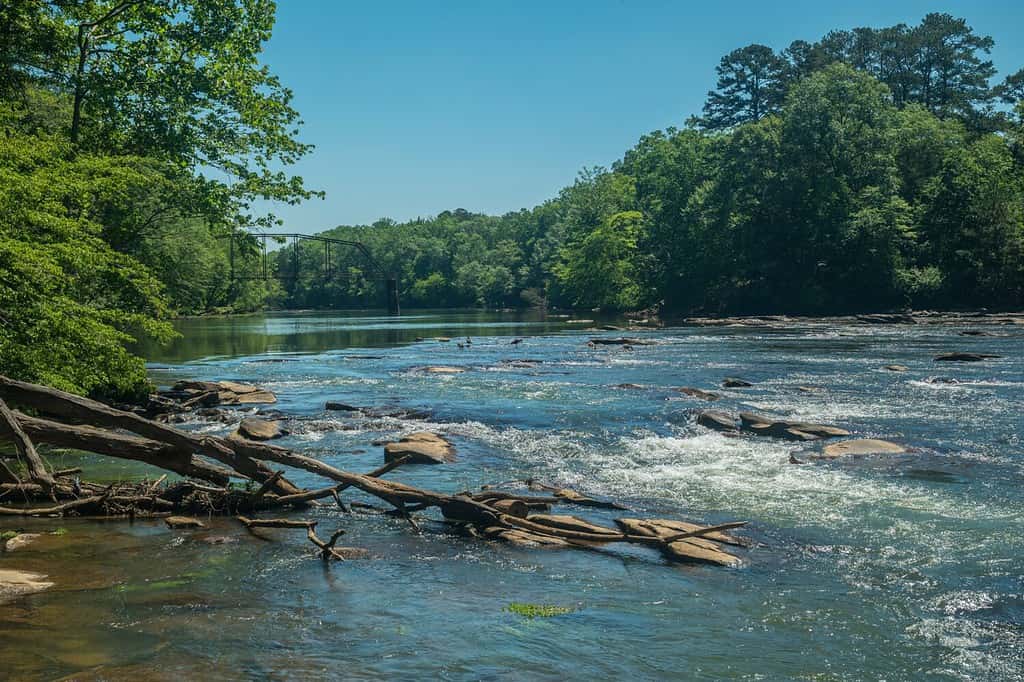 Fiume Chattahoochee al Jones Bridge Park in Georgia con alcune oche al centro e alcune persone che pescano sullo sfondo vicino al ponte ferroviario arrugginito esente in una giornata di sole in primavera