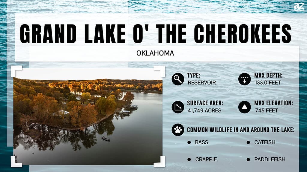 Quanto è profondo il Grand Lake O'the Cherokees?
