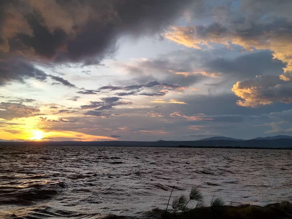 Scopri come e quando si è formato il Lago Vittoria in Africa
