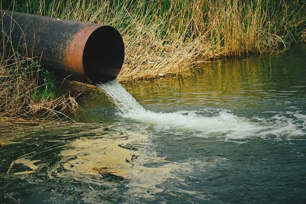 Drenaggio delle acque reflue dal tubo nel fiume, fiumi di inquinamento ed ecologia