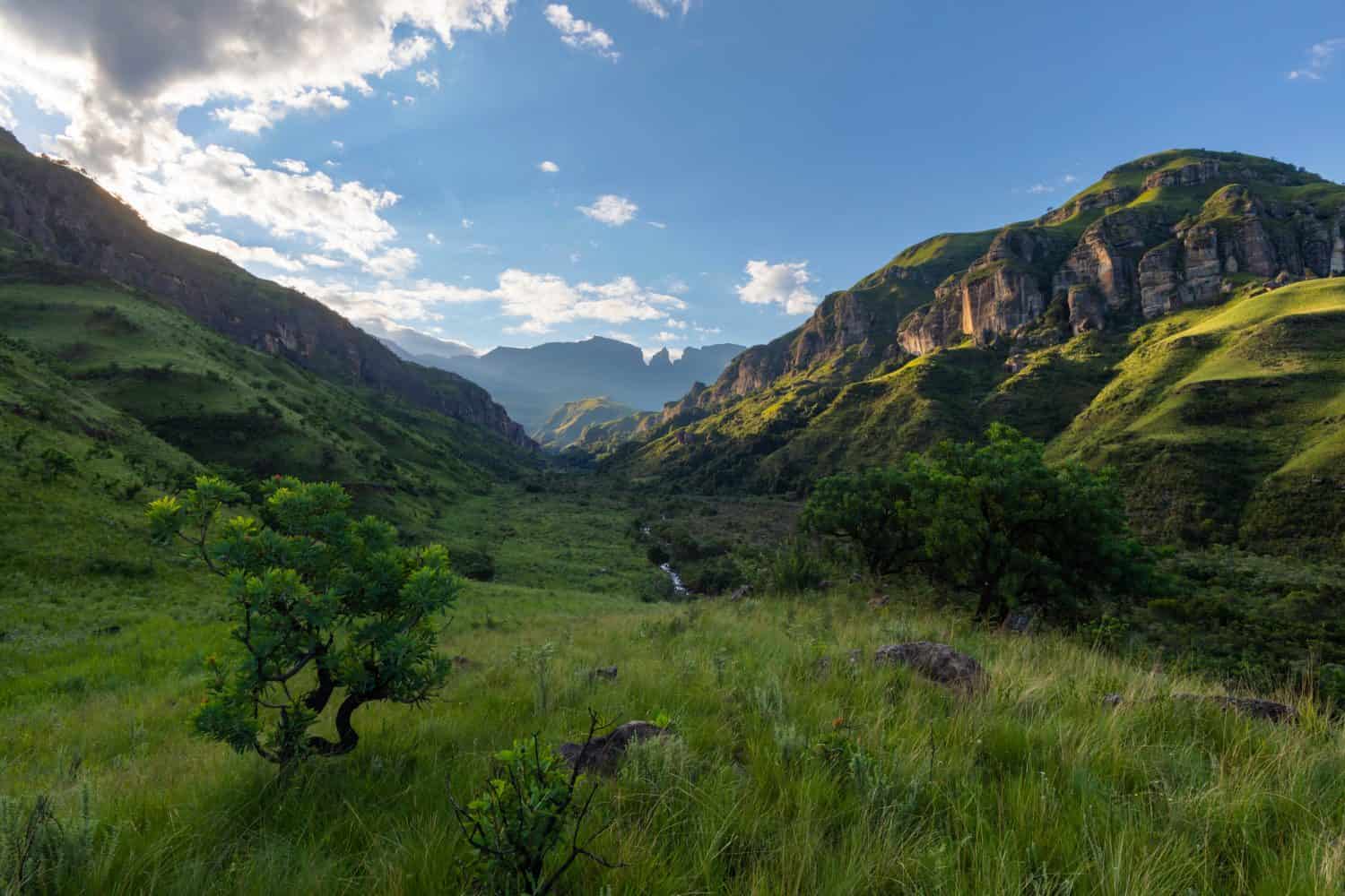 Valle verde nella montagna Drakensberg Sud Africa