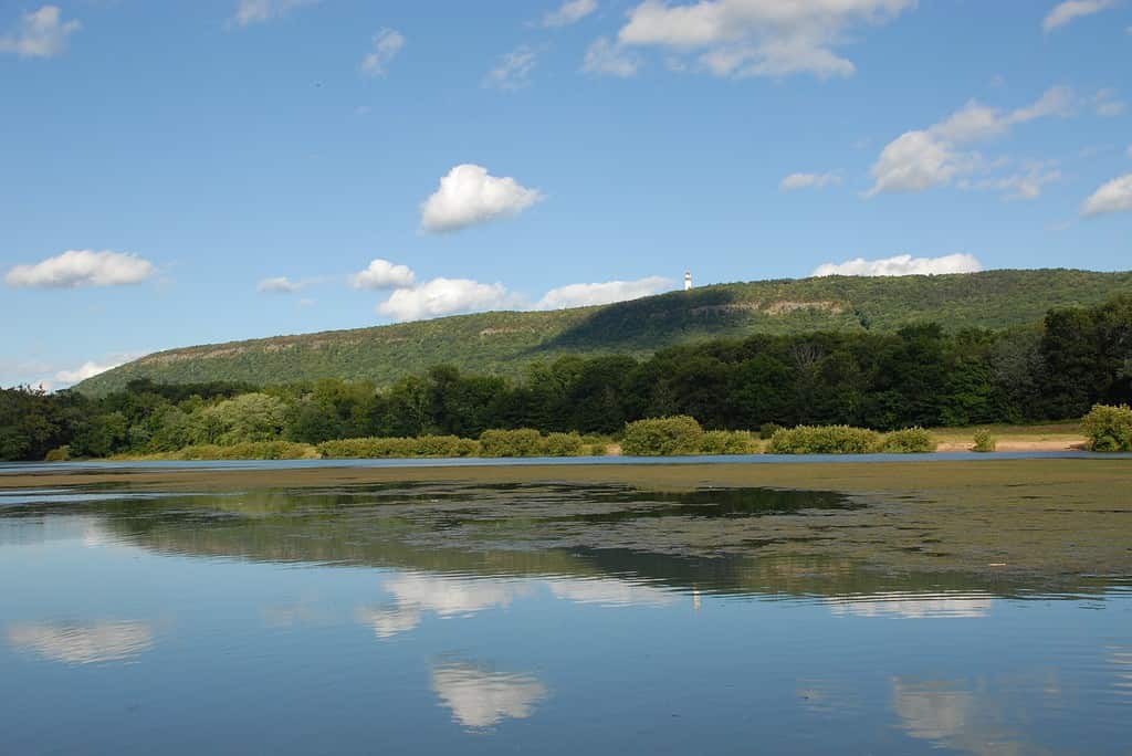 Vista del monte Talcott dalla Nod Brook Wildlife Area