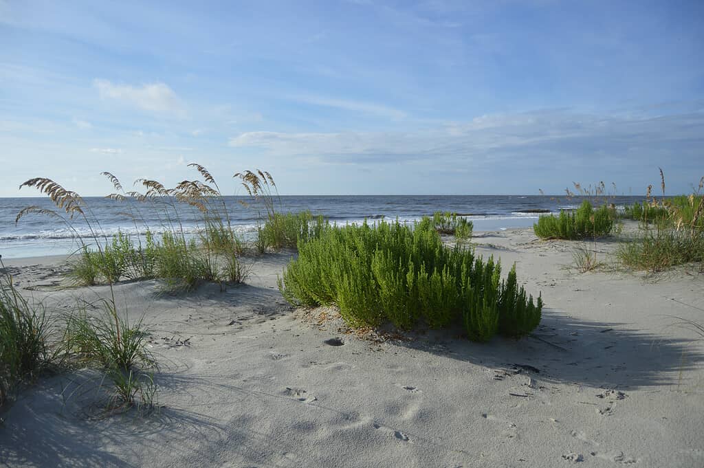 Spiaggia orientale Georgia