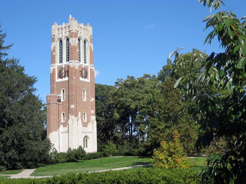 Torre Beaumont, Stato del Michigan