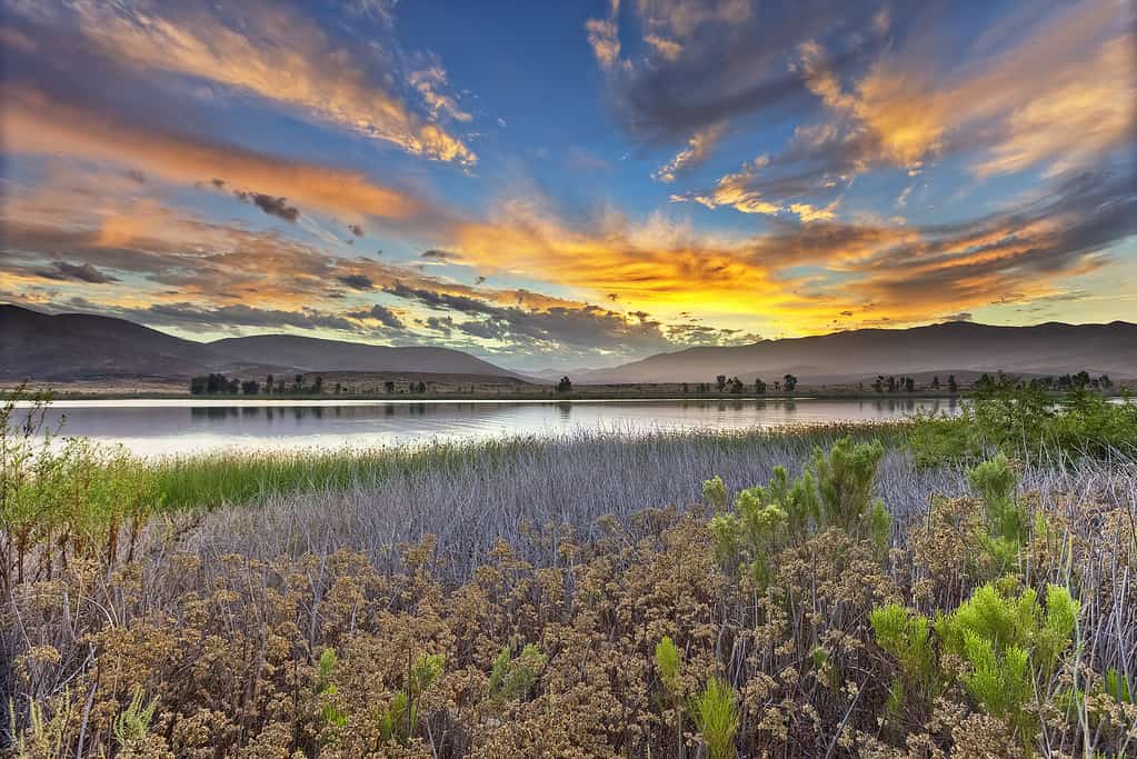 Alba sui laghi Otay