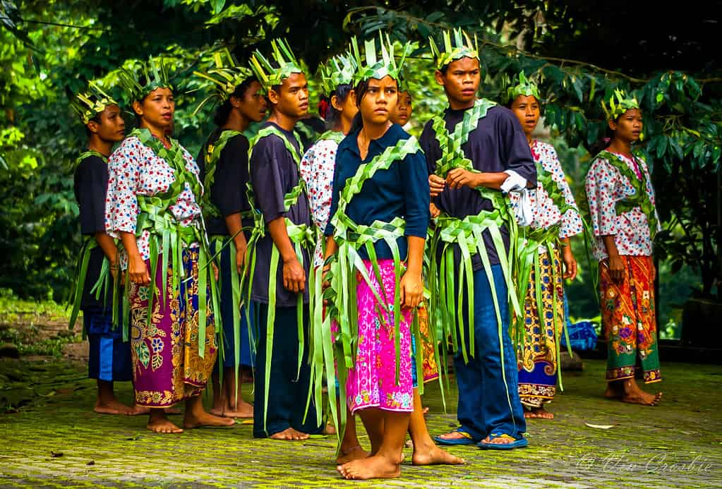 Ballerini del Museo Orang Asli