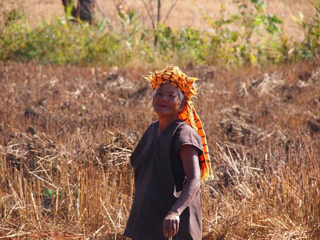 Donne Pa-Oh che vendono verdure I Pa-Oh si stabilirono nella regione di Thaton nell'attuale Myanmar intorno al 1000 aC Storicamente, i Pa-Oh indossavano abiti colorati, finché il re Anawratha sconfisse il re Mon Makuta, che aveva stabilito il suo regno a Thaton.  I Pa-Oh furono ridotti in schiavitù e costretti a indossare abiti tinti in indaco, per indicare il loro status.  Tuttavia, ci sono variazioni regionali di abbigliamento tra i Pa-Oh.  Molti hanno adottato abiti Bamar, mentre gli uomini possono indossare Shan baung-mi (pantaloni lunghi e larghi).  La maggior parte dei Pa-Oh sono buddisti, ma i missionari cristiani hanno creato una lingua scritta.  I Pa-Oh si dedicano prevalentemente all'agricoltura, coltivando foglie dell'albero thanapet (Cordia dichotoma) e foglie di senape.  I Pa-Oh si sono ampiamente assimilati nella società Bamar, adottando molte tradizioni Bamar e indossando abiti Bamar.