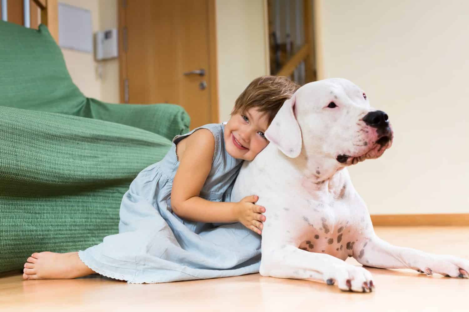 Bambino felice della ragazza sul pavimento con il dogo Argentino