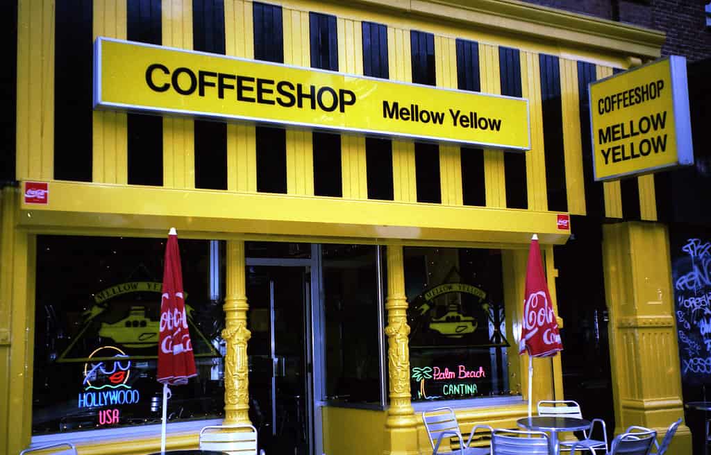 Il Mellow Yellow Coffeeshop di Amsterdam