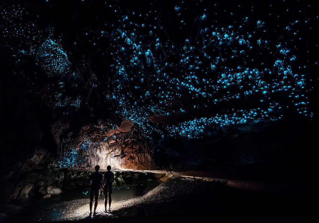 Coppia in piedi sotto il cielo della Glow Worm nella grotta di Waipu, in Nuova Zelanda