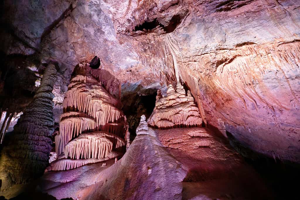 Formazioni calcaree nelle caverne di Lewis e Clark nel Montana, USA.  Questo calcare era formato da strati di organismi ricchi di calcio morti in un mare presente tra 325 e 365 milioni di anni fa