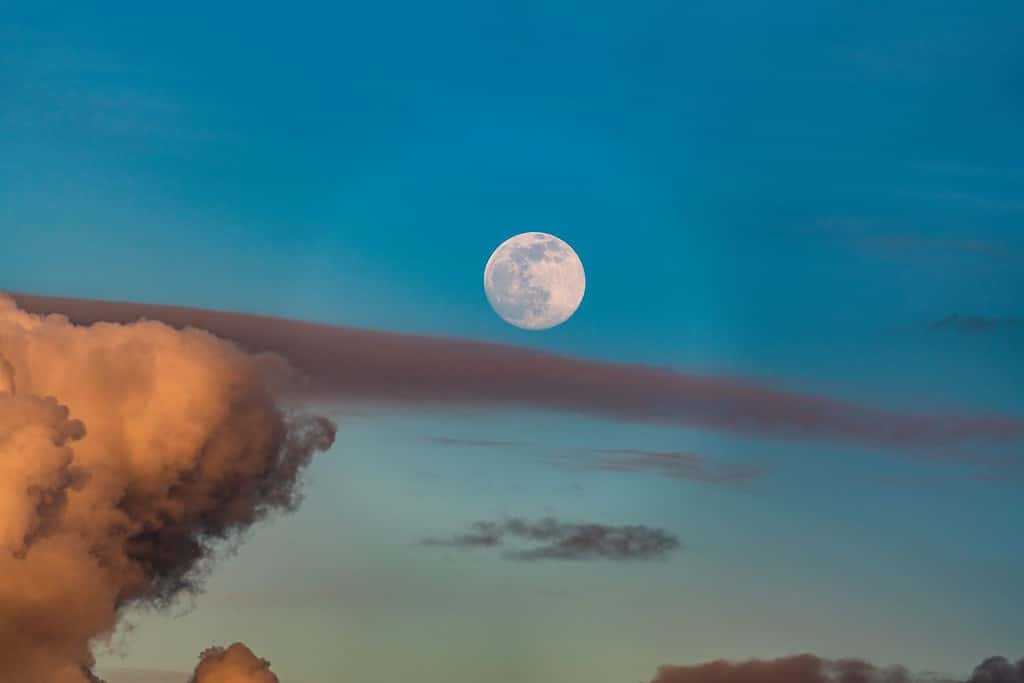 Sorge la luna piena di marzo, la luna verme con sfondi di cielo azzurro