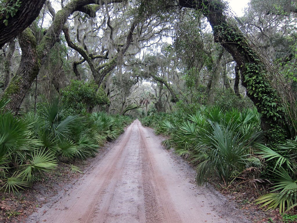 Percorso rettilineo dell'isola di Cumberland, Georgia