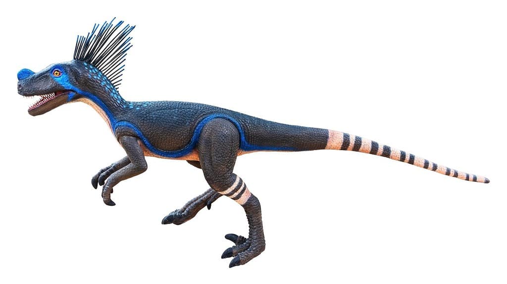 Ornitholestes è un piccolo dinosauro teropode del tardo Giurassico, Ornitholestes isolato su sfondo bianco con tracciato di ritaglio