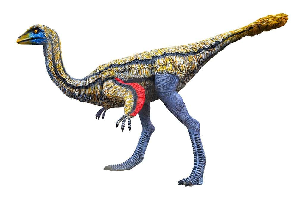 Ornithomimus è un genere di dinosauri ornithomimidi del tardo Cretaceo, Ornithomimus isolato su sfondo bianco con tracciato di ritaglio
