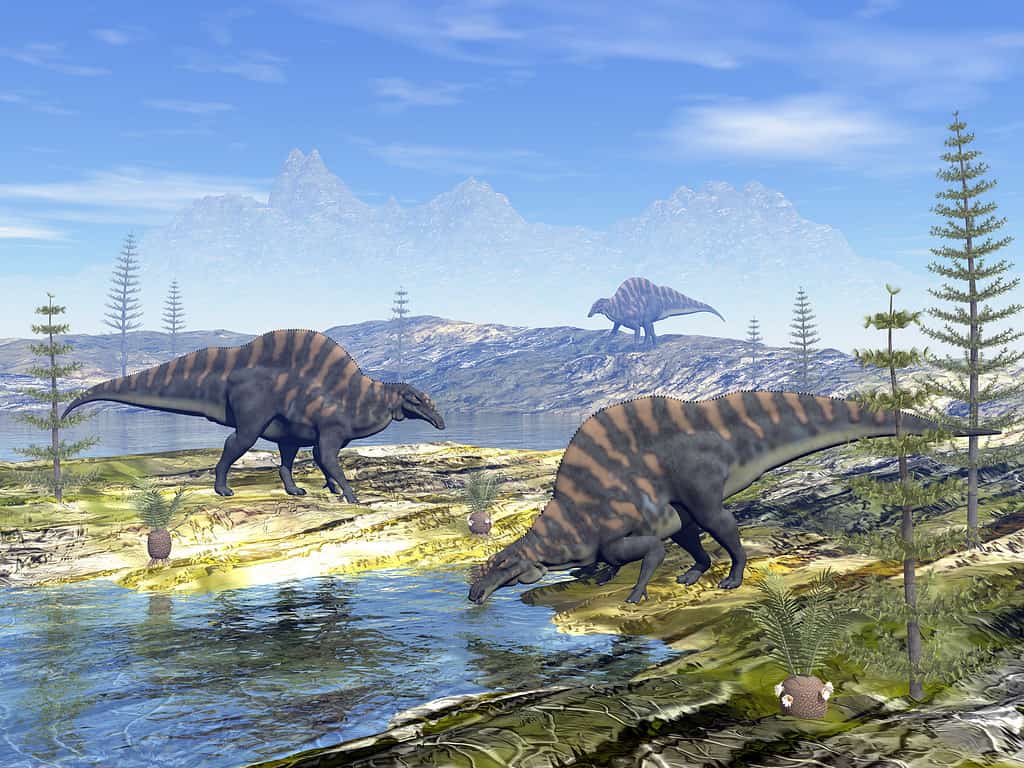 Dinosauri Ouranosaurus - rendering 3D
