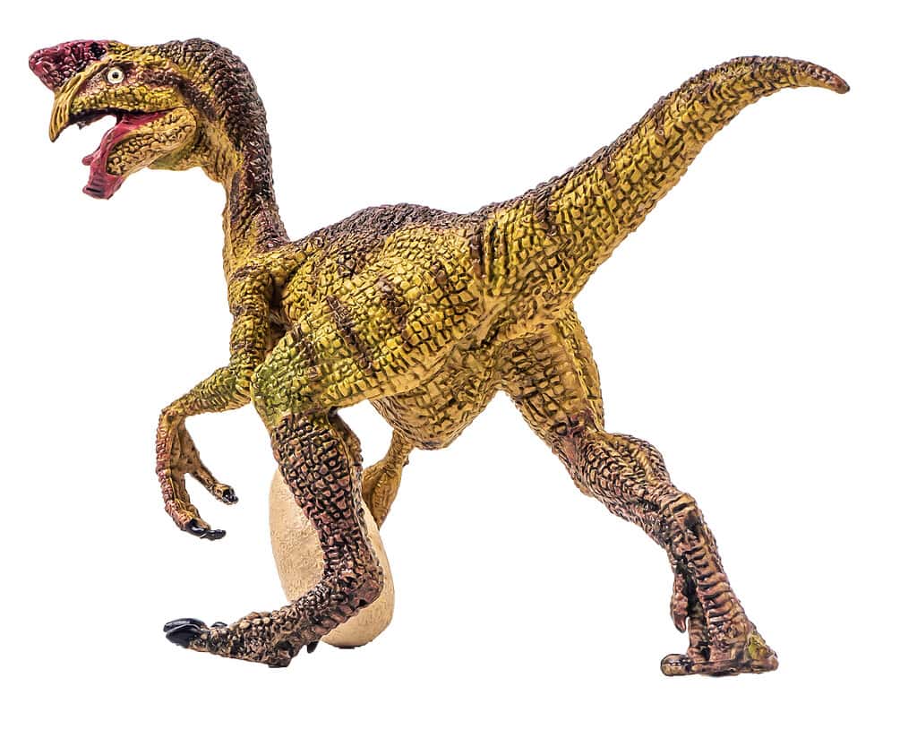 Oviraptor, dinosauro su sfondo isolato.  Tracciato di ritaglio