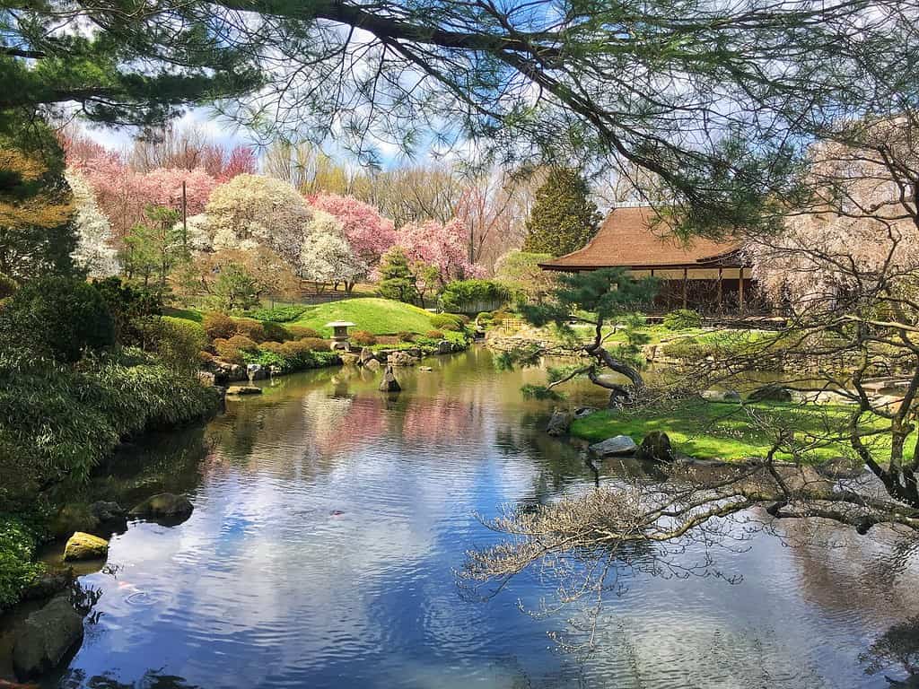 Shofuso Casa e giardino giapponese.  La casa giapponese in stile tradizionale e il giardino classificato a livello nazionale riflettono la storia della cultura giapponese nella città di Filadelfia