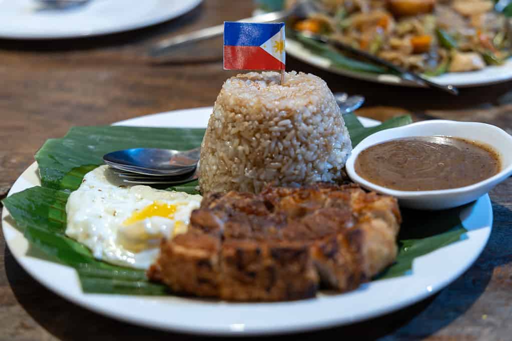 Popolare cibo filino Lechon di maiale, riso al vapore con salsa Bagoong