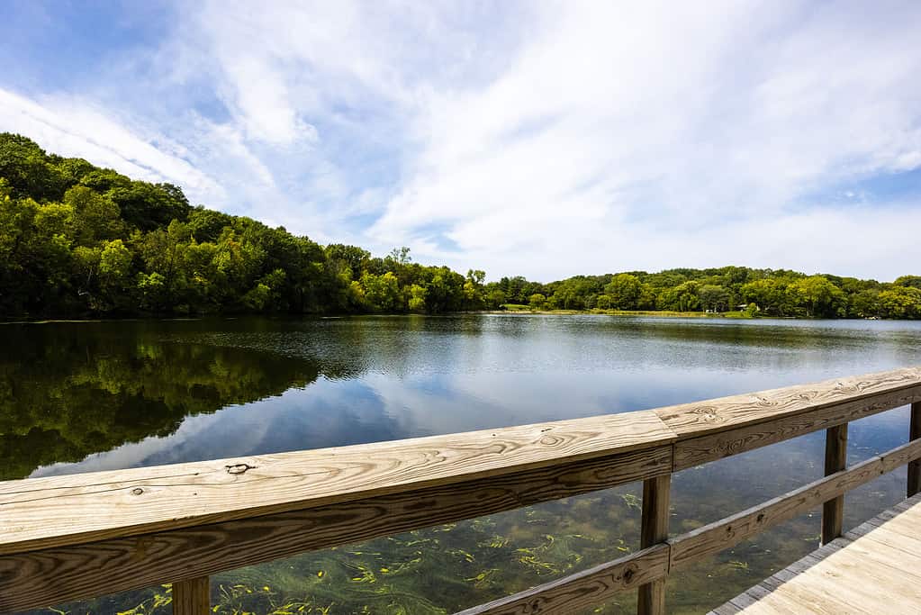 Ponte di legno sopra il lago pulito e riflettente Carver circondato da fitti alberi nel Minnesota