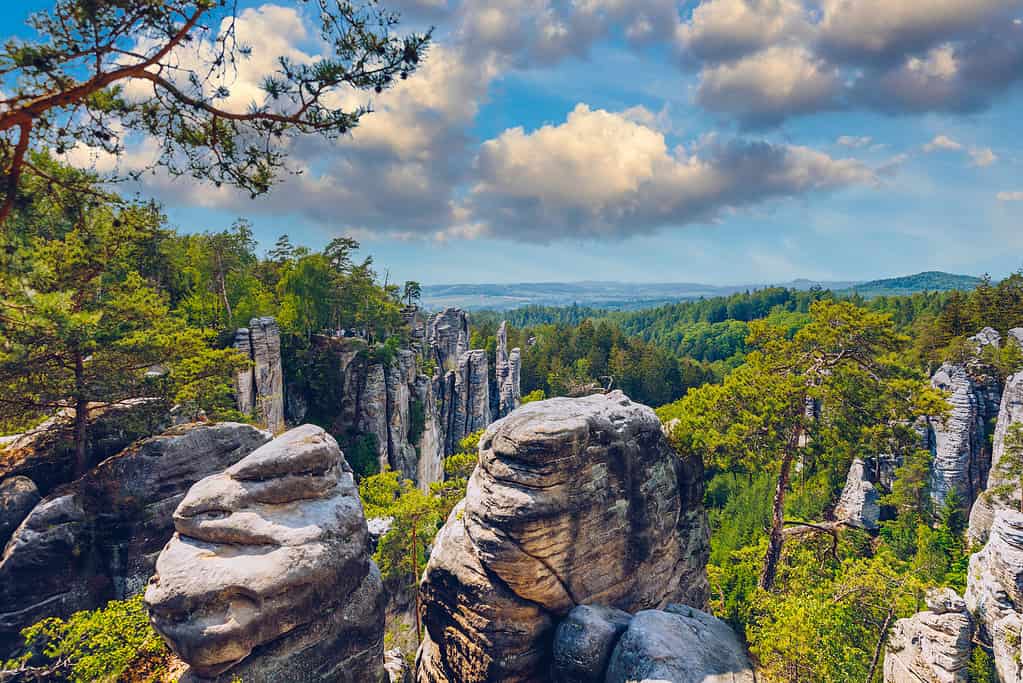 Rocce di Prachov (Prachovske skaly) nella regione di Cesky Raj, Repubblica Ceca.  Formazione rocciosa di arenaria nella foresta vibrante.  Prachov Rocks, ceco: Prachovske skaly, nel Paradiso Boemo, Repubblica Ceca.