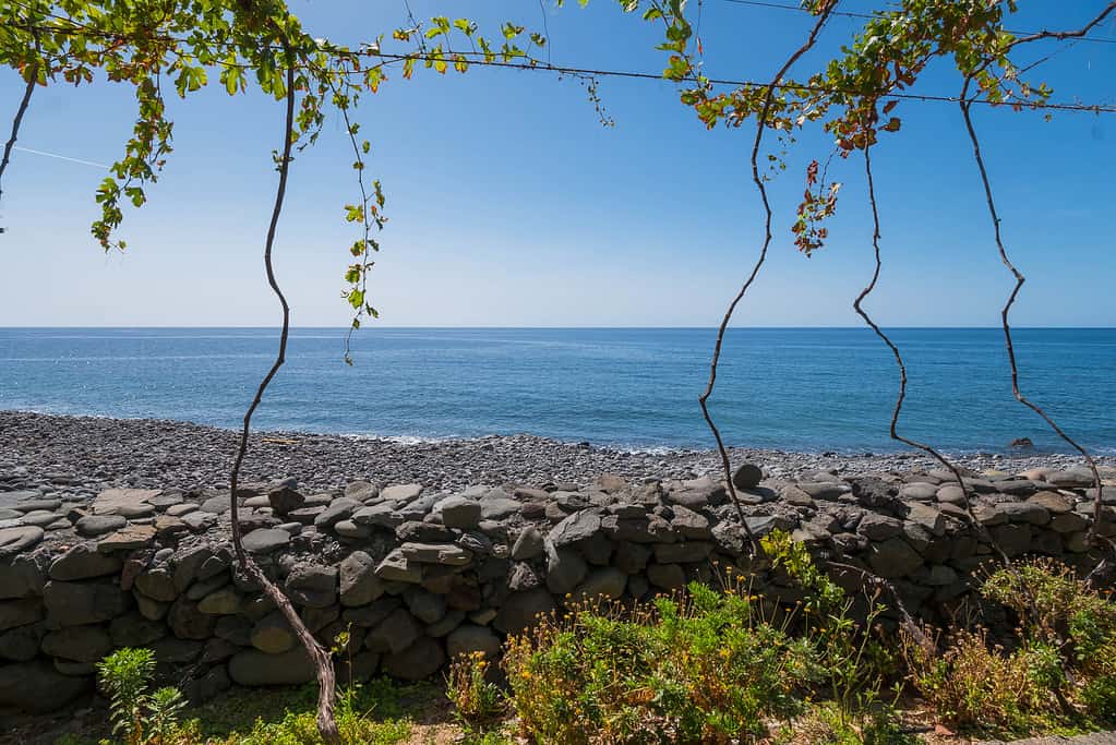 La Faja dos Padres, una bellissima striscia di terreno coltivato tra la scogliera e il mare a cui si accede tramite funivia