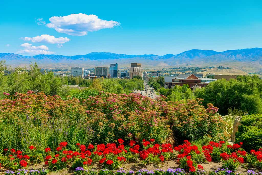 Bellissimo giardino pieno di fiori che sbocciano davanti allo skyline di Boise Idaho