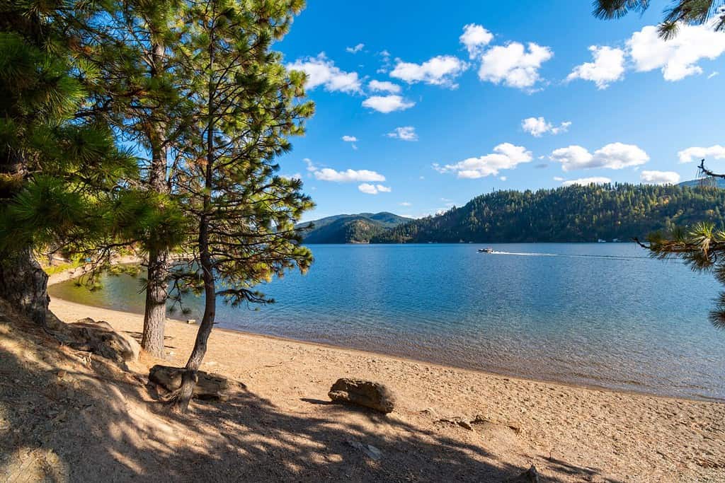 Una barca passa davanti a una piccola spiaggia sabbiosa a Beacon Point, una tappa del Centennial Trail, sulla Wolf Lodge Bay del lago Coeur d'Alene, a Coeur d'Alene, Idaho, Stati Uniti.