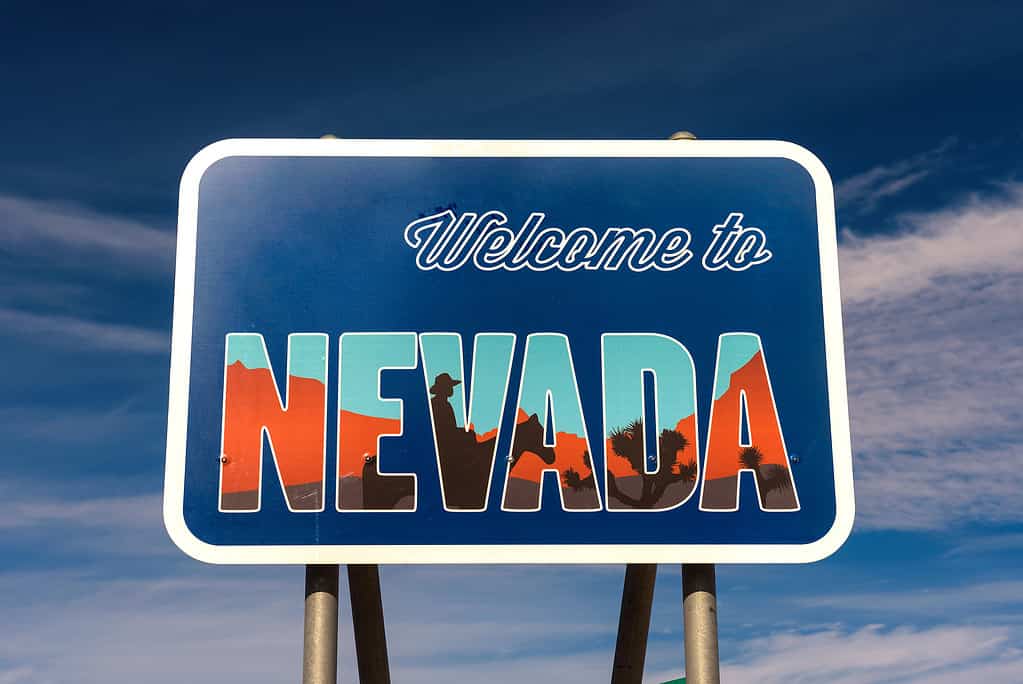 Benvenuti al cartello stradale del Nevada