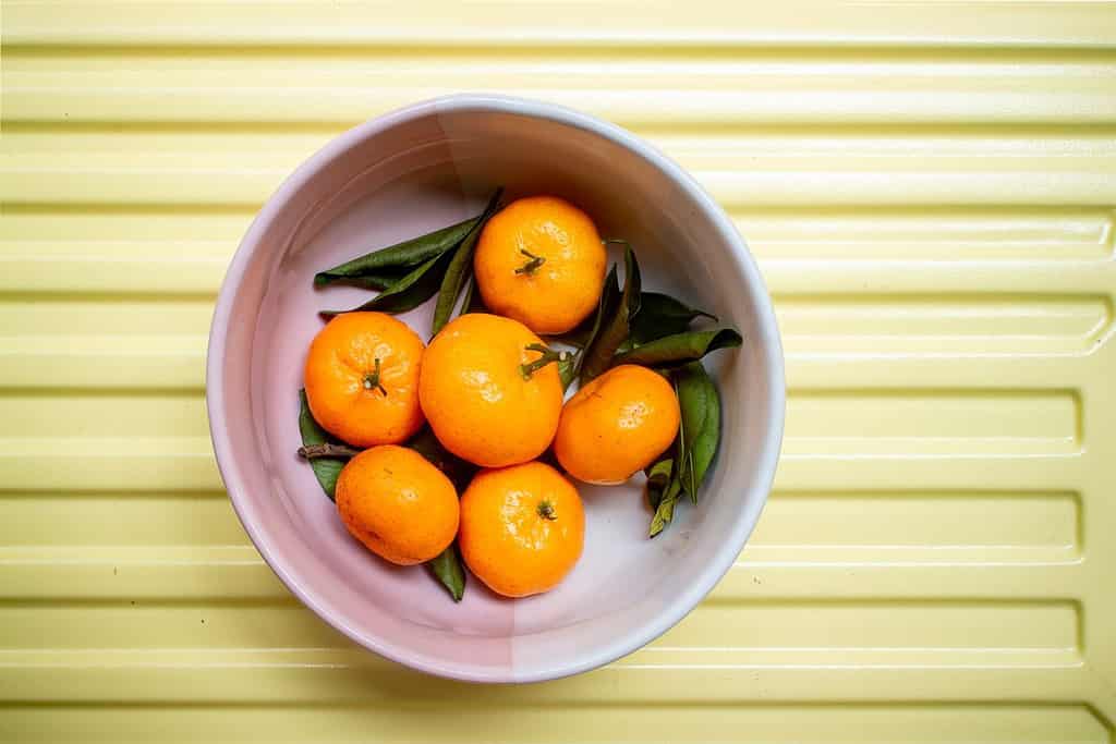 Mandarini.  Vista ravvicinata sul mandarino fresco.  Mandarino Imperial Ponkam, Dolce e Succoso.  Cinese.  Capodanno.