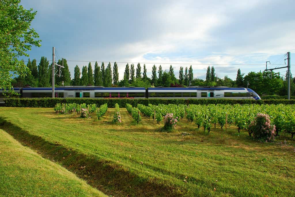 Il treno in movimento passa uno scenario verde, in Francia