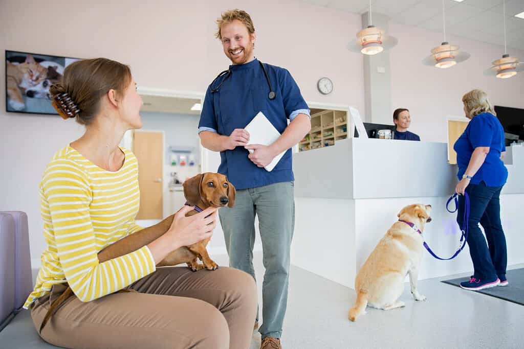 Proprietario di cane domestico nella sala d'attesa dell'ambulatorio veterinario
