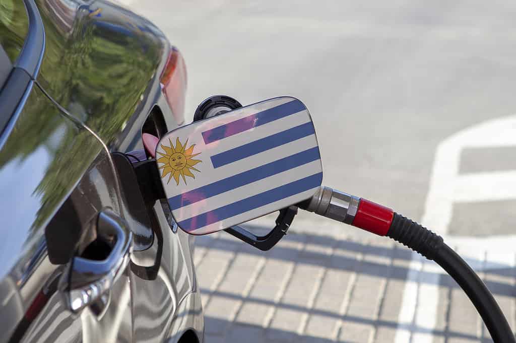 Bandiera dell'Uruguay sullo sportello del serbatoio del carburante dell'auto.  Rifornimento di auto con pompa di benzina in una stazione di servizio.  Stazione di rifornimento.  Benzina e prodotti petroliferi.  Avvicinamento.