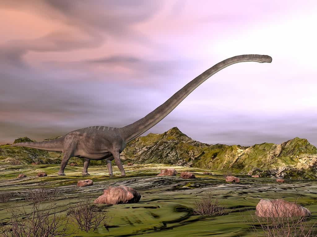 Omeisaurus che cammina nel deserto - rendering 3D