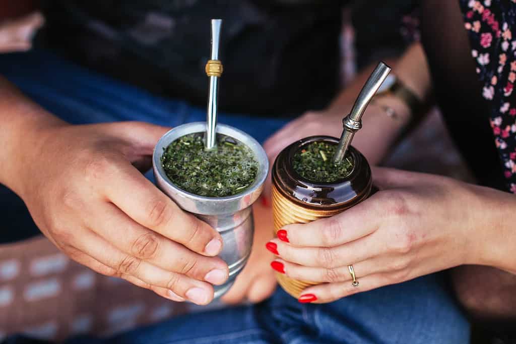 Tè yerba mate in bombilla.  Cannuccia speciale in metallo.  Bevanda calda popolare del Sud America.  Coppia bere sana bevanda a base di erbe.  Picnic all'aperto di fidanzamento.