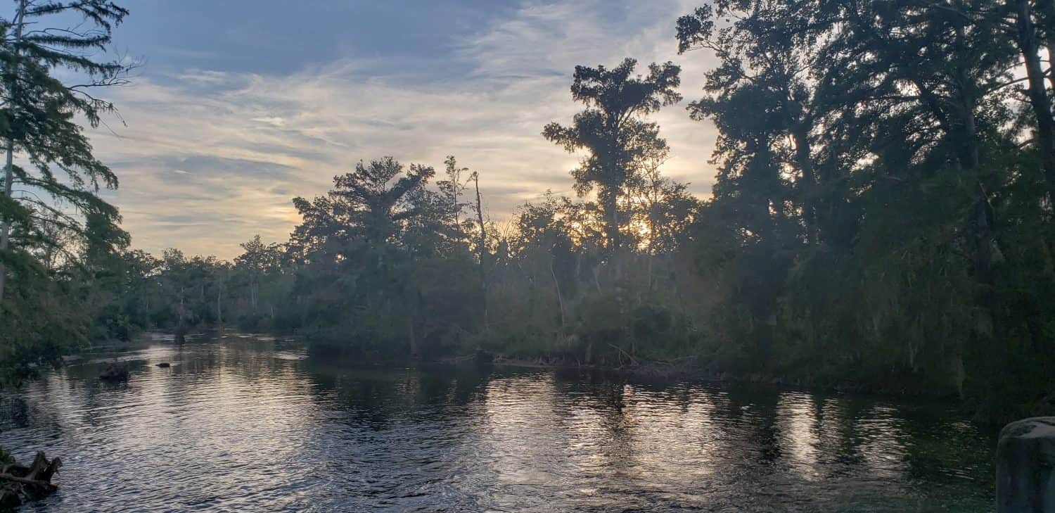 Immagine del fiume Chipola a Marianna Florida