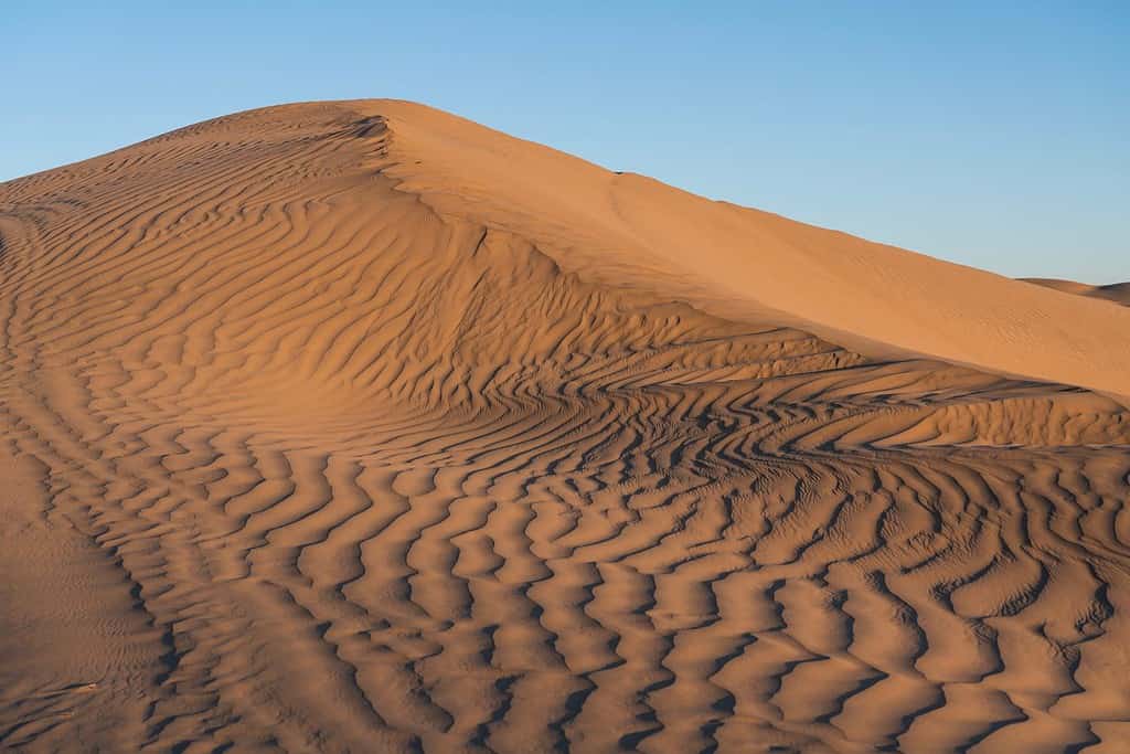 Le dune di sabbia del Piccolo Sahara