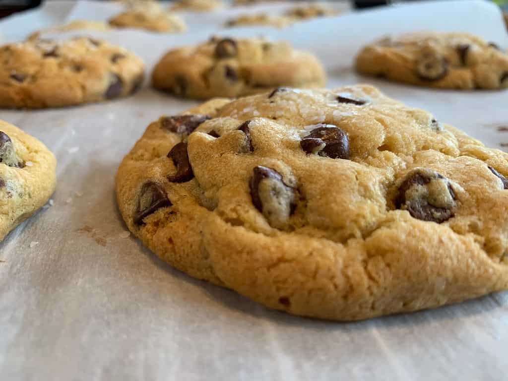 Delizioso biscotto al cioccolato appena sfornato isolato con biscotti sfocati sullo sfondo