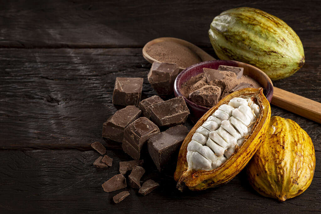 Cacao con pezzi di cioccolato e cioccolato in polvere sul tavolo.