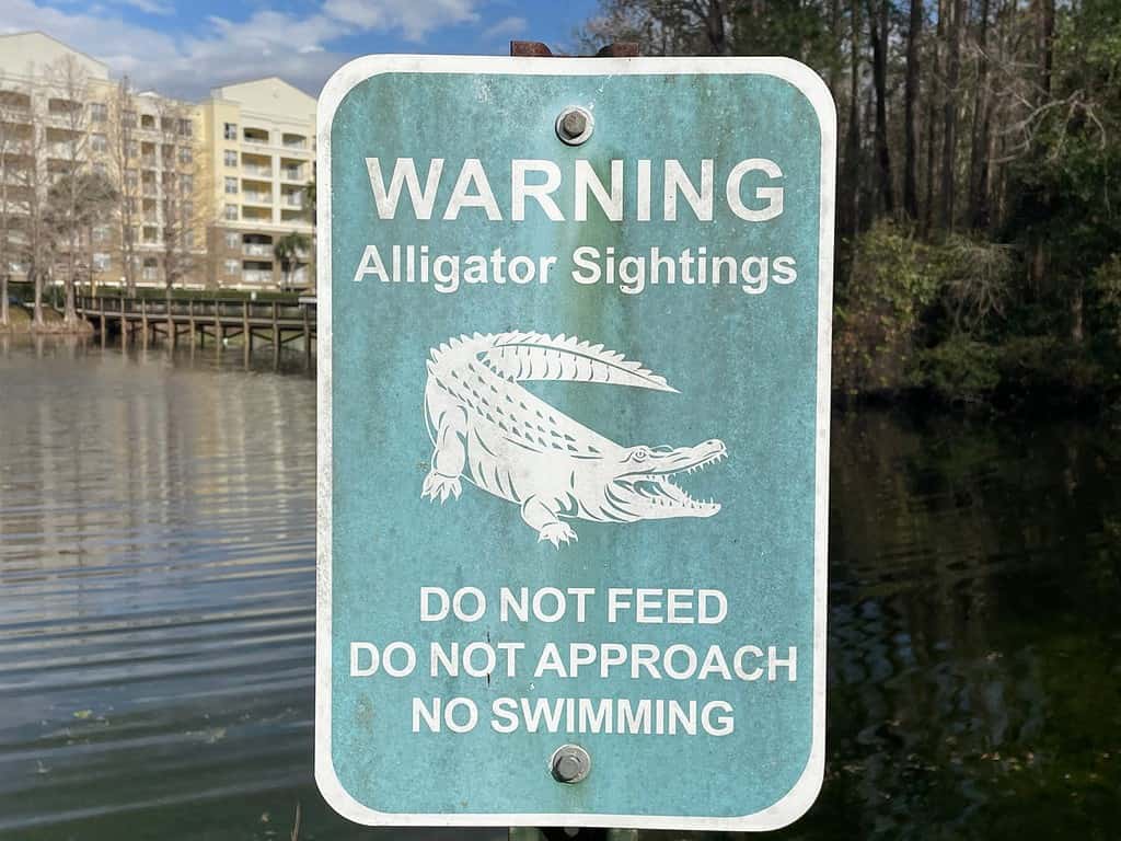 Segnale di avvertimento alligatore pubblicato in un lago